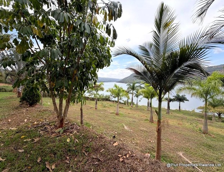 Lake Muhazi Waterfront Land for Sale