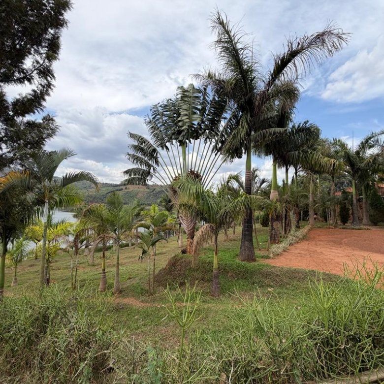 Lakefront Land for Sale on Muhazi Lake