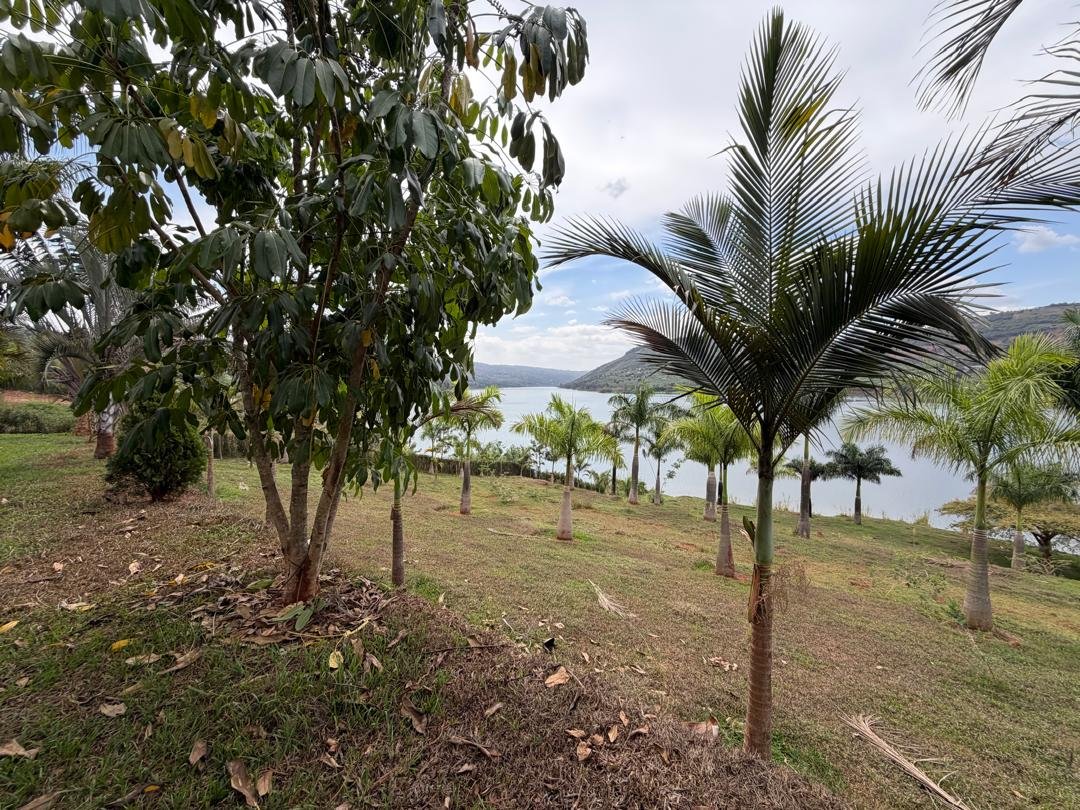 Lakefront Land for Sale on Muhazi Lake