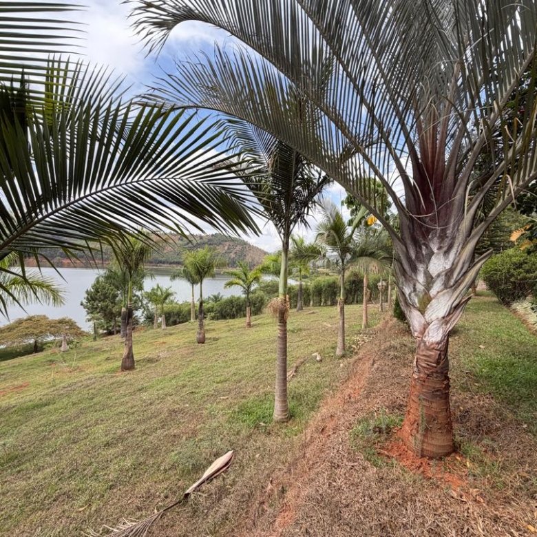 Lakefront Land for Sale on Muhazi Lake