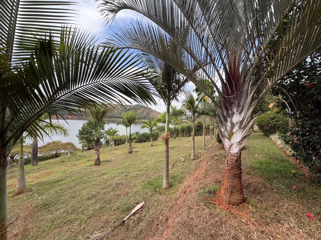Lakefront Land for Sale on Muhazi Lake
