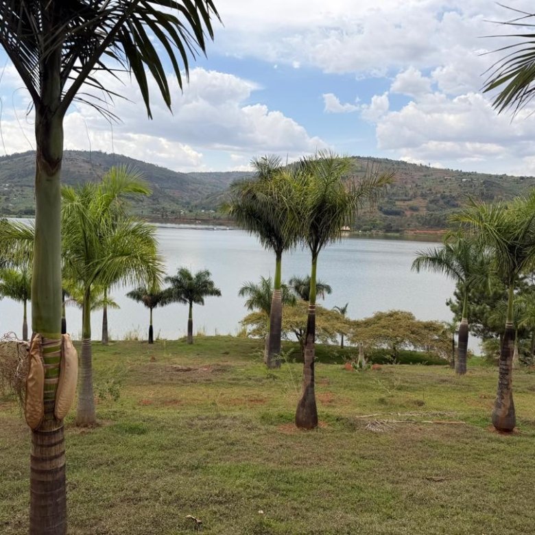 Lakefront Land for Sale on Muhazi Lake