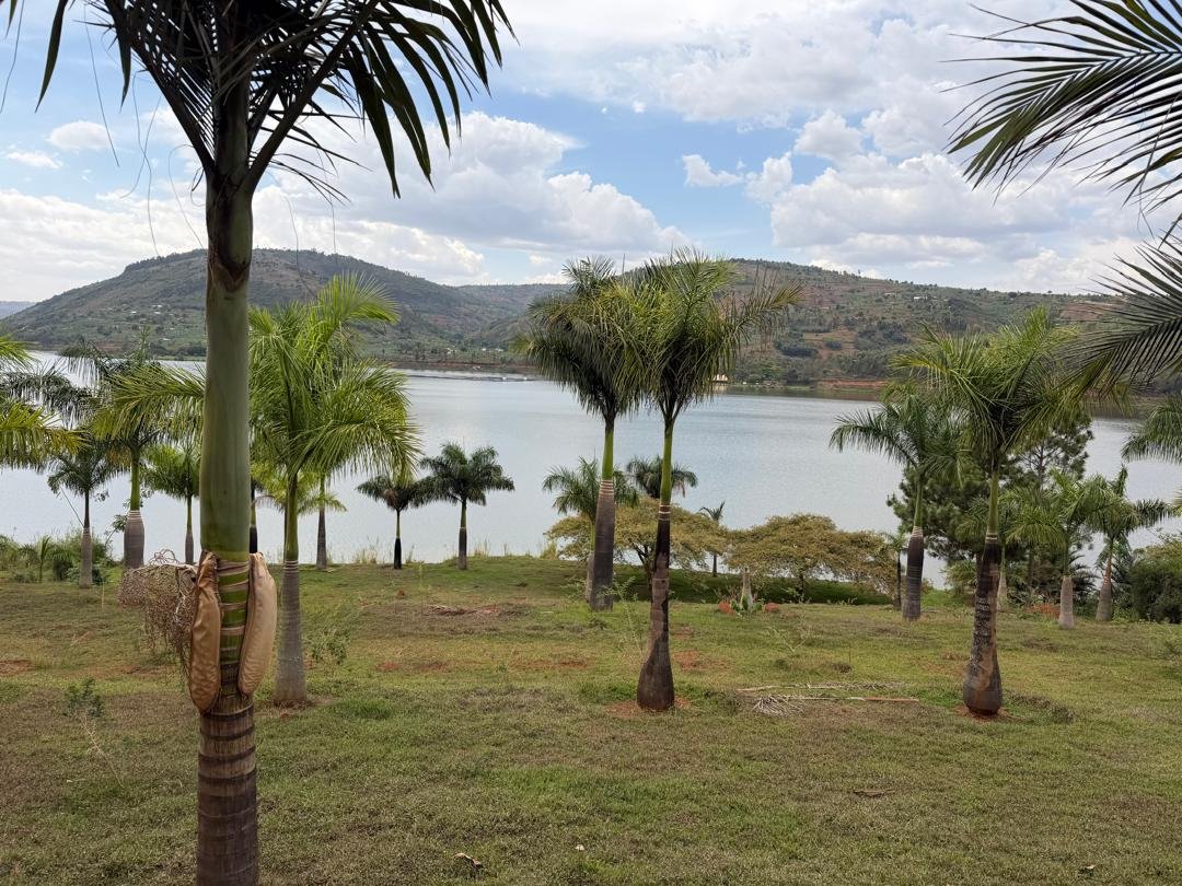 Lakefront Land for Sale on Muhazi Lake