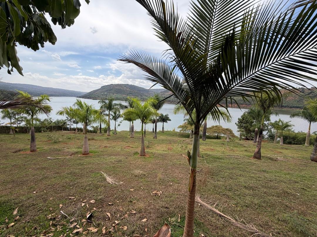 Lakefront Land for Sale on Muhazi Lake